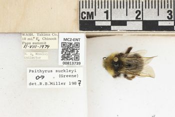 Media type: image;   Entomology 813739 Aspect: labels